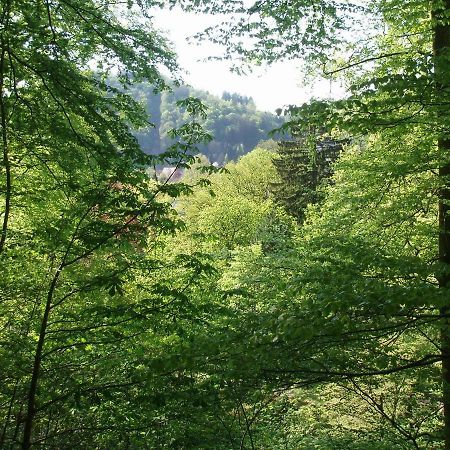 Pension/Bed And Breakfast Pangea Bad Lauterberg Extérieur photo