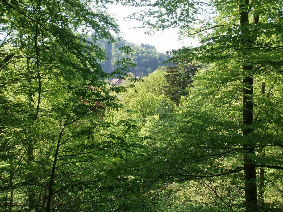 Pension/Bed And Breakfast Pangea Bad Lauterberg Extérieur photo