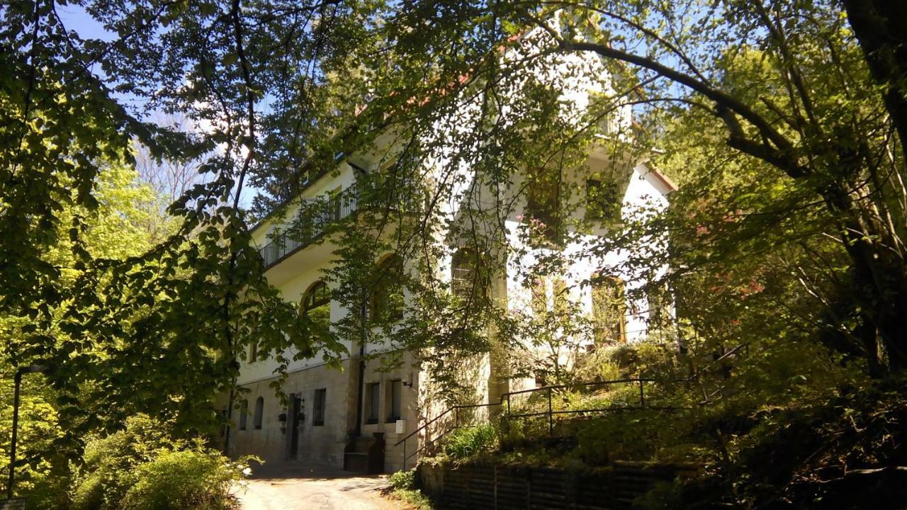 Pension/Bed And Breakfast Pangea Bad Lauterberg Extérieur photo