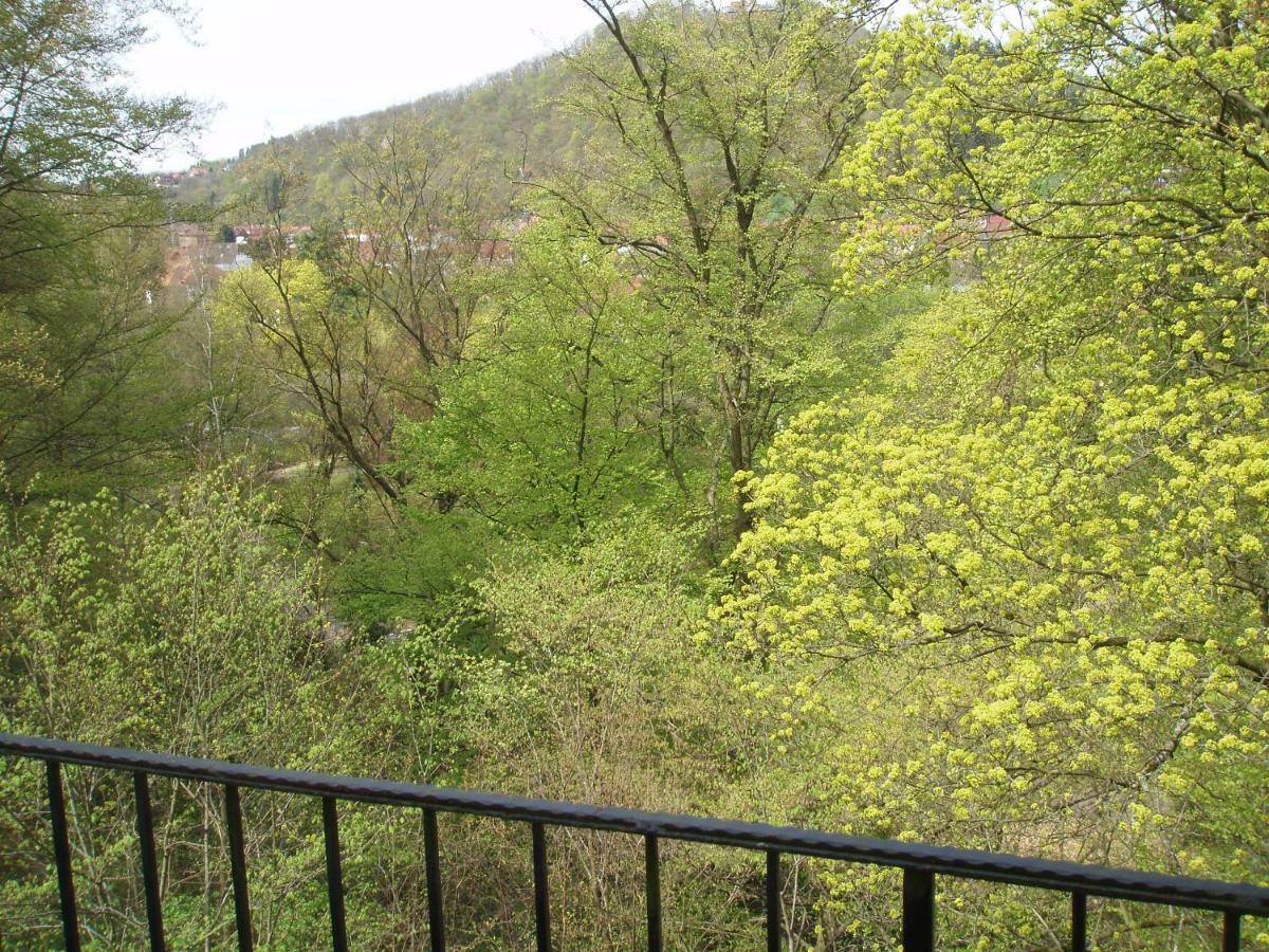 Pension/Bed And Breakfast Pangea Bad Lauterberg Extérieur photo
