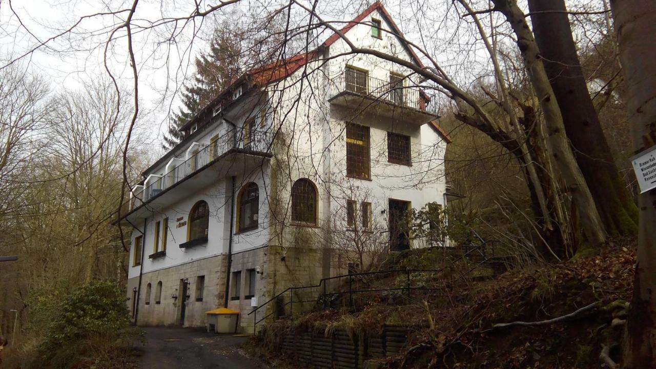Pension/Bed And Breakfast Pangea Bad Lauterberg Extérieur photo